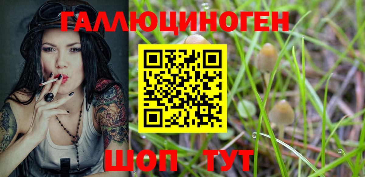 Избербаш  Галлюциногенные грибы мухоморы  Вход с VPN 